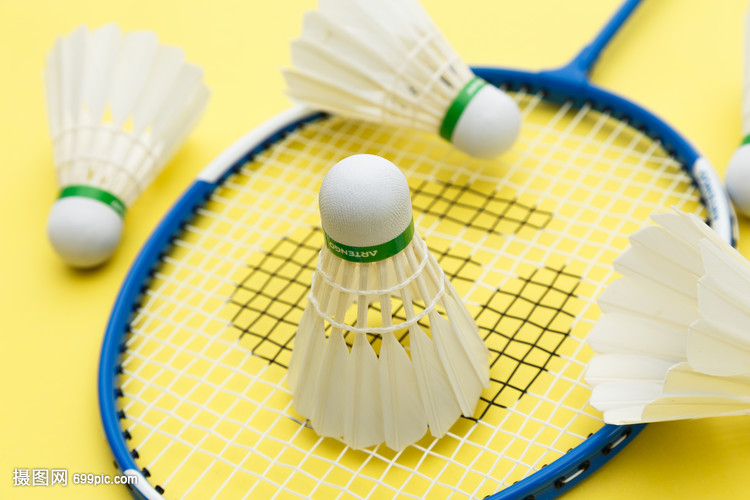 排球女子半 排球女子半