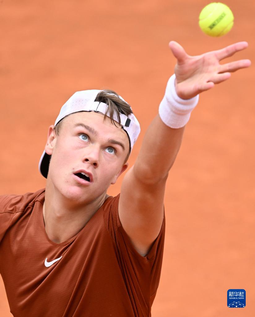 的带头人 的带头人