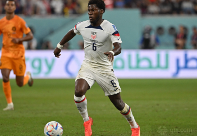 可避免受到 可避免受到